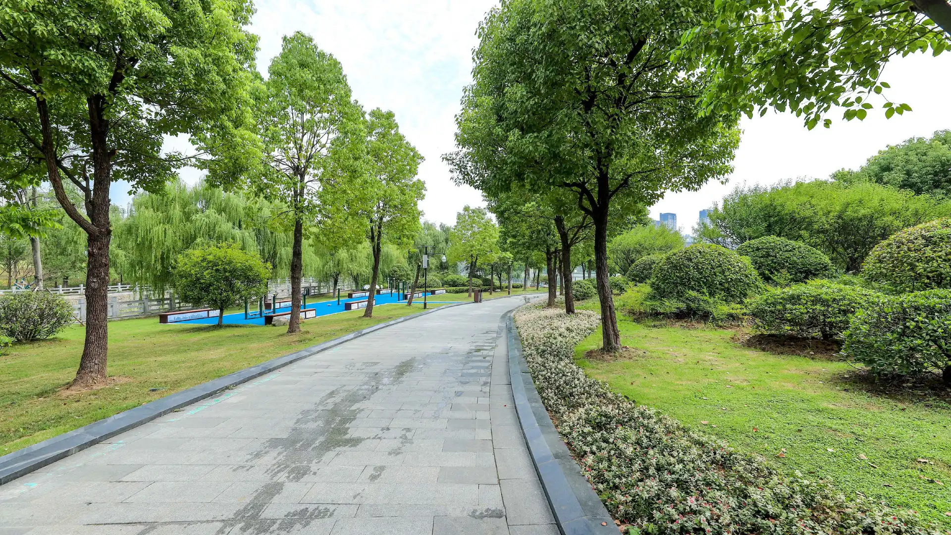 中央公園周辺のホテル