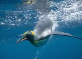 SEA LIFE Melbourne Aquarium