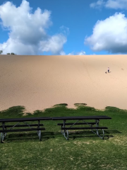 Dune Climb