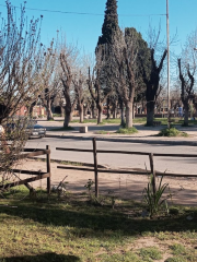 Plaza De Oro Verde