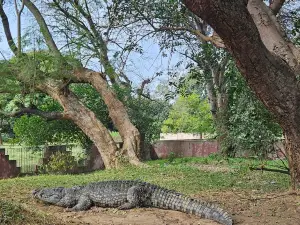 ゾオロージコ庭園