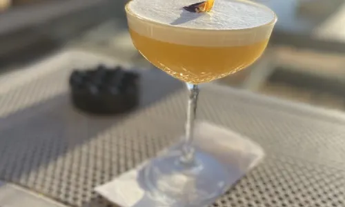 monkeyistanbul