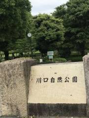 川口自然公園