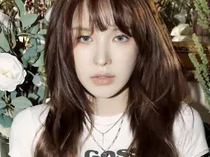 WENDY 1ST SOLO WORLD TOUR (W:EALIVE)