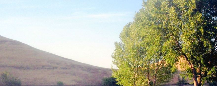 Contra Loma Regional Park