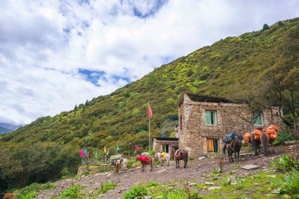Dajianbao (a rest stop)