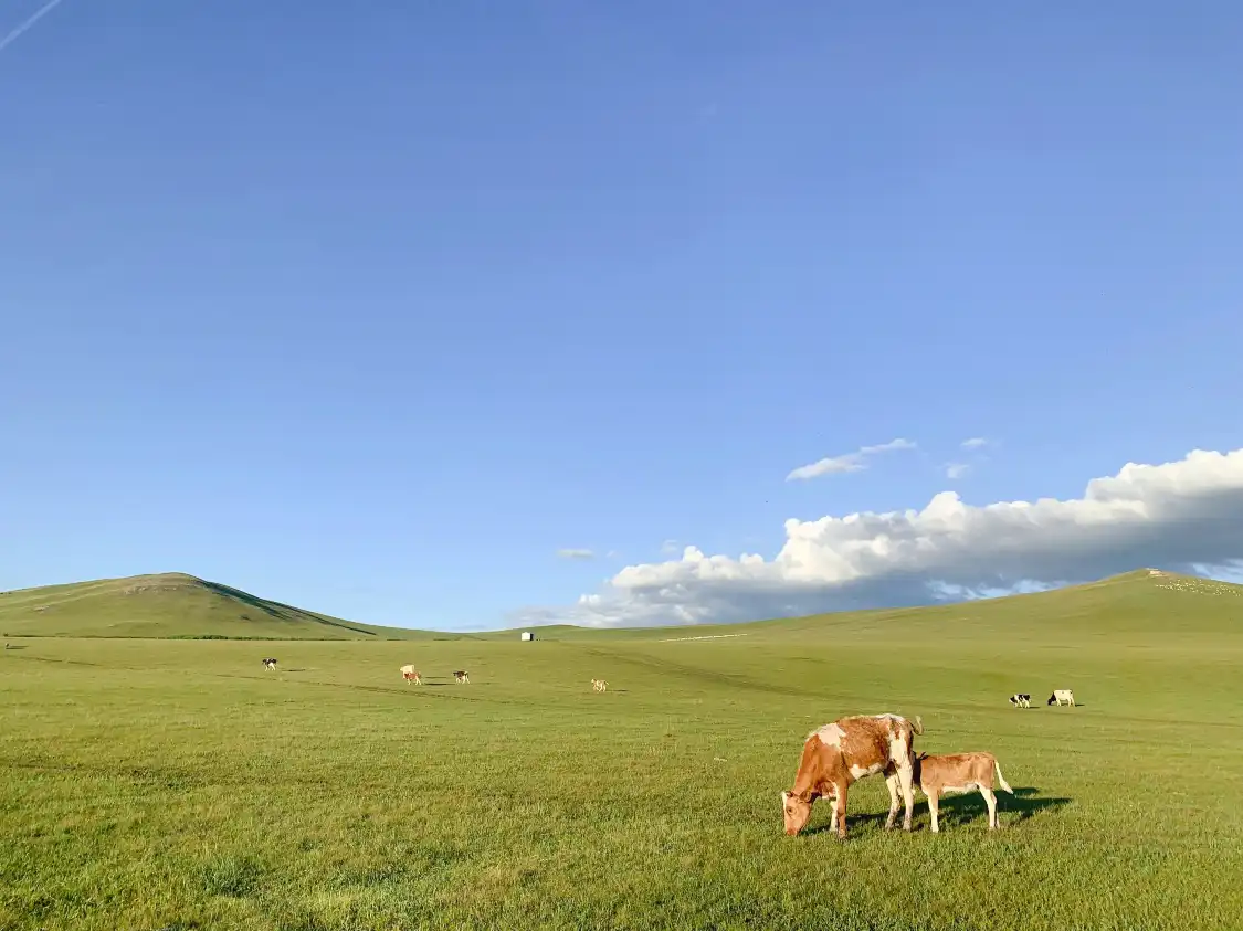 Hotels near Junchi Racecourse