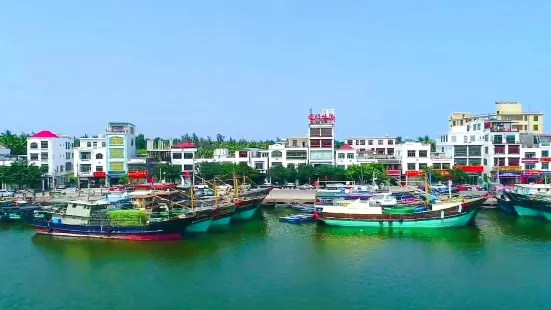 Tanmen Zhongxin Fishing Port