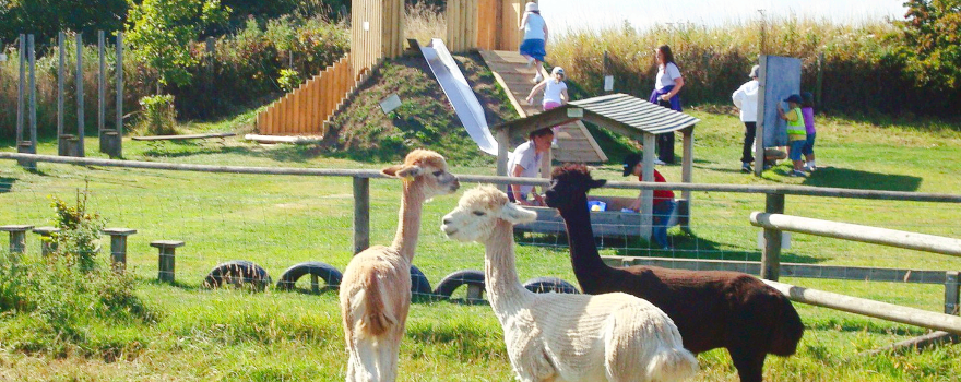 Filey Bird Garden and Animal Park