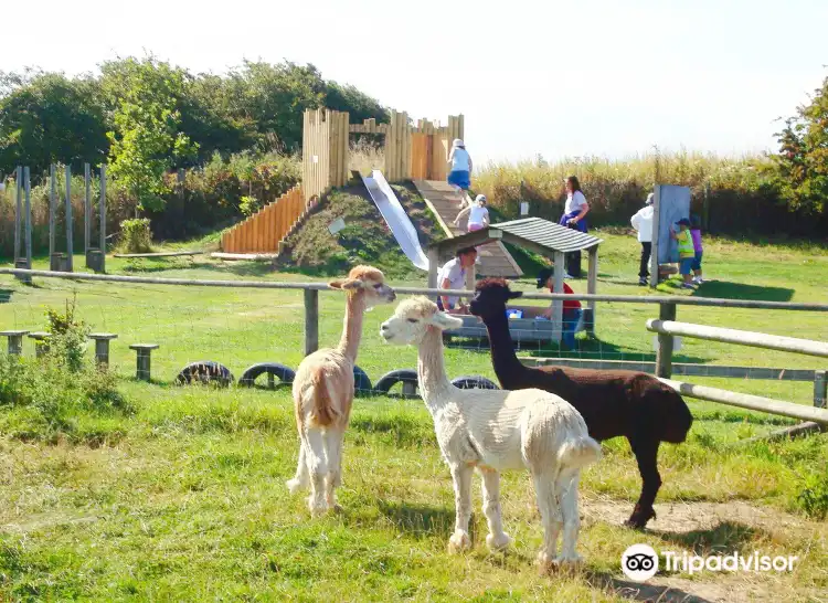 Hotels near Filey Bird Garden and Animal Park