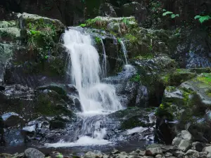 Red Valley Scenic Area
