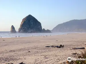 Tolovana Beach State Recreation Site