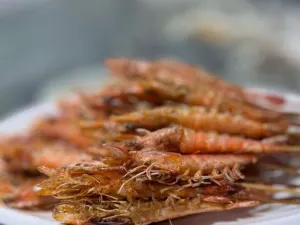 香榧人家