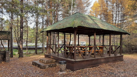 Zaeltsovskiy Bor
