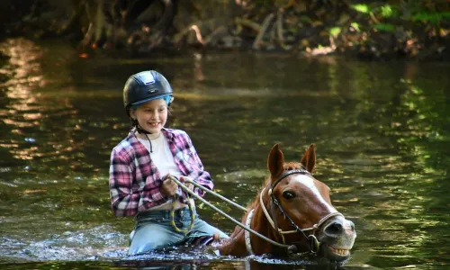 Horse Riding in Cairns