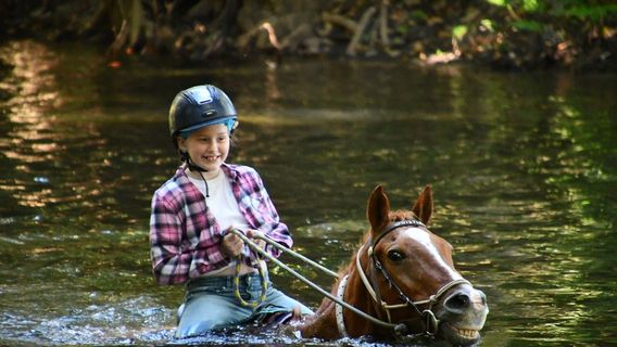 Horse Riding in Cairns
