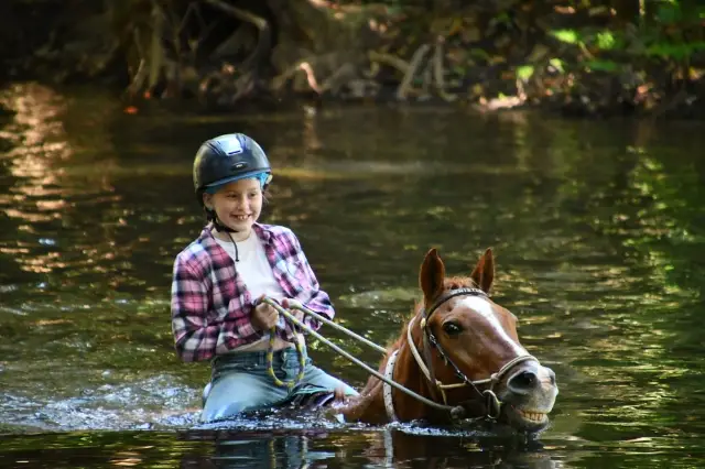 Horse Riding in Cairns