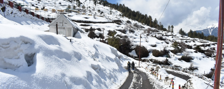 The Cliff Top Club, Auli