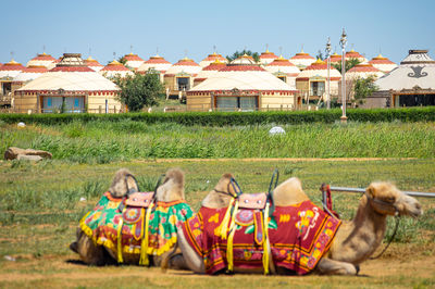 Gegentala Grassland