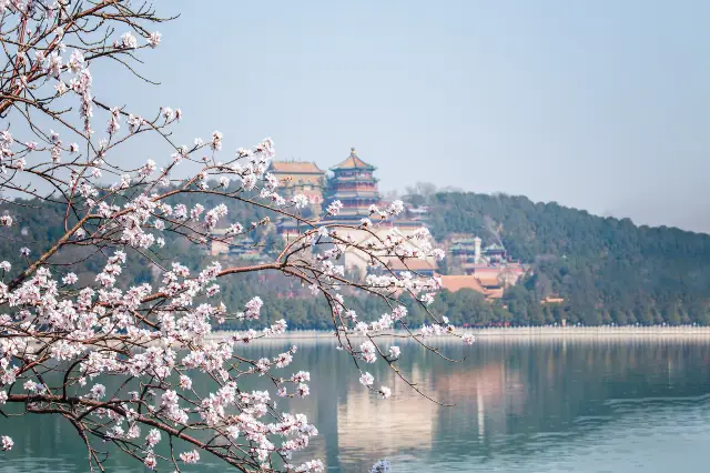 bei jing shang ying hua