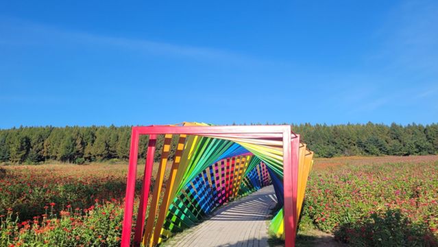 Yanji Mao'er Mountain (Dinosaur) Cultural Tourism Area Flower Sea