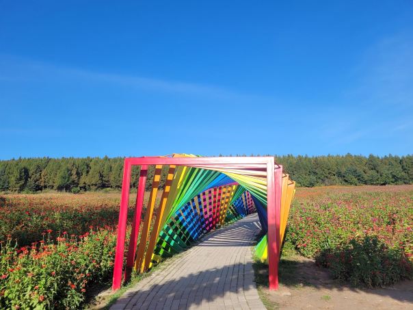 Yanji Mao'er Mountain (Dinosaur) Cultural Tourism Area Flower Sea