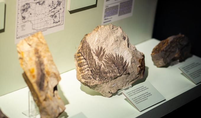 Expedition of the National Museum | National museum-Prague