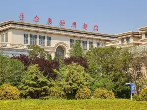 Jinshitan Life Mystery Museum