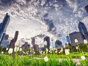 Millennium Park