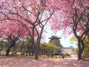 Suwon Hwaseong Fortress