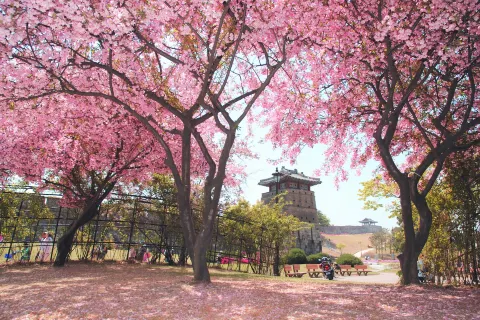 수원화성