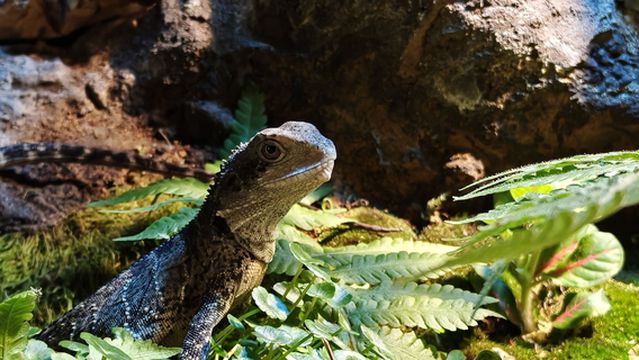 zhu hai huo ti kun chong bo wu guan