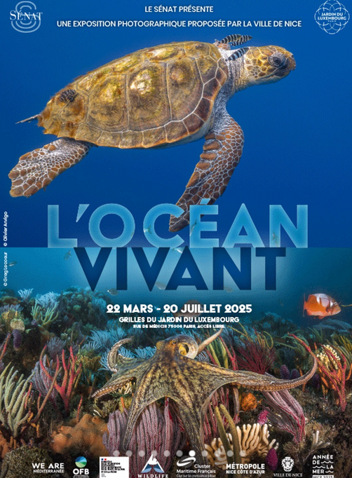 The living ocean | Promenade du Paillon