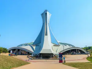 The Montreal Tower