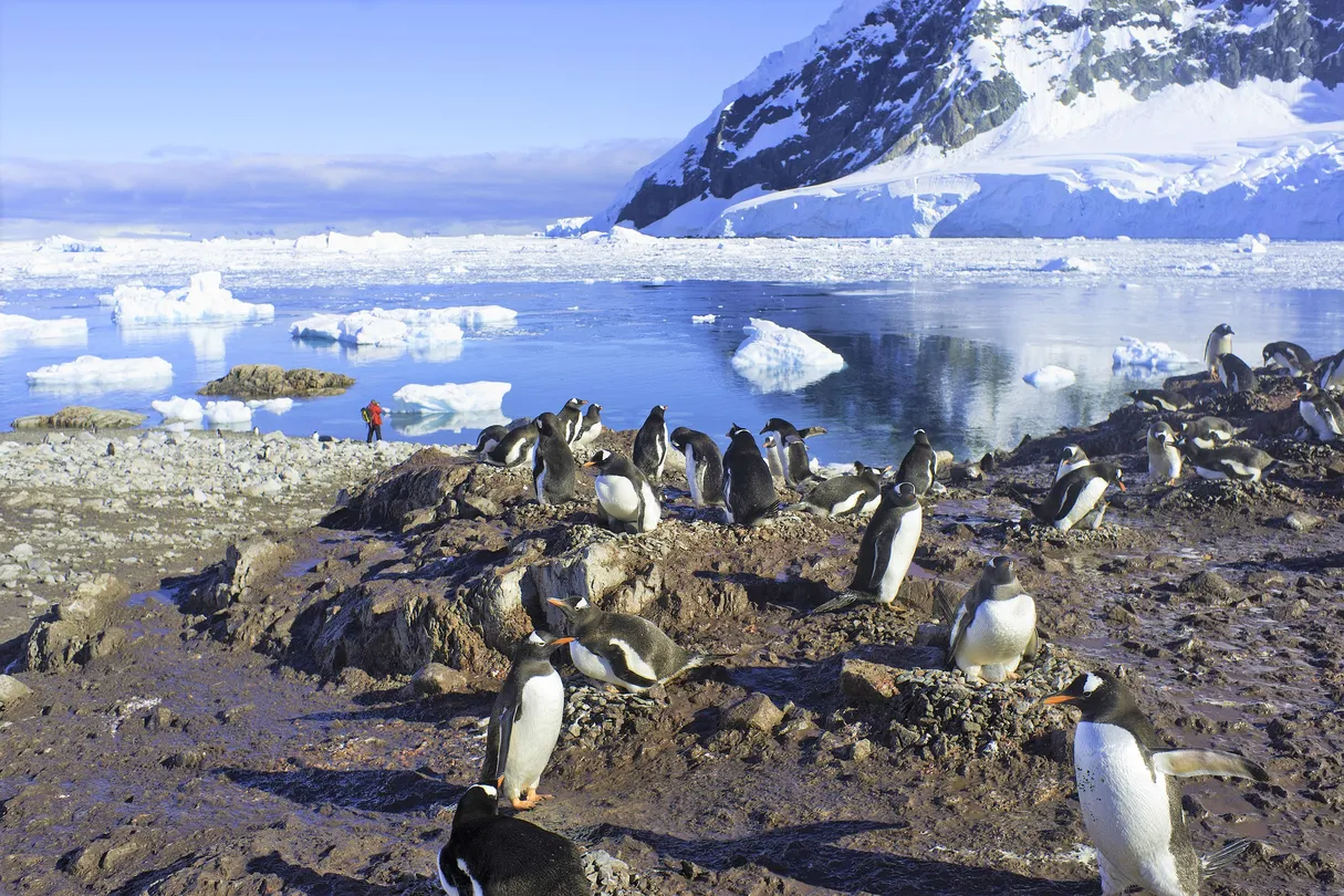 4_อ่าวเนโกะ