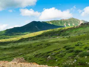 Popular Best Things to Do in Shintoku