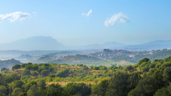 Parc Natural de la Serra de Collserola