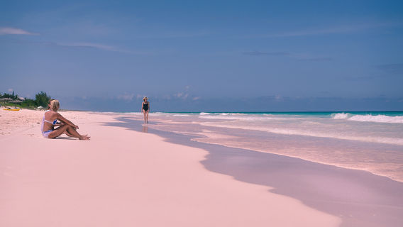 Pink Sands Beach