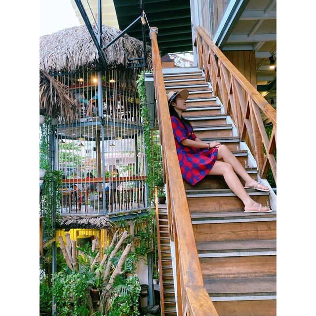 「芽莊·鸟巢咖啡店」 排名第一咖啡网红店rainforest