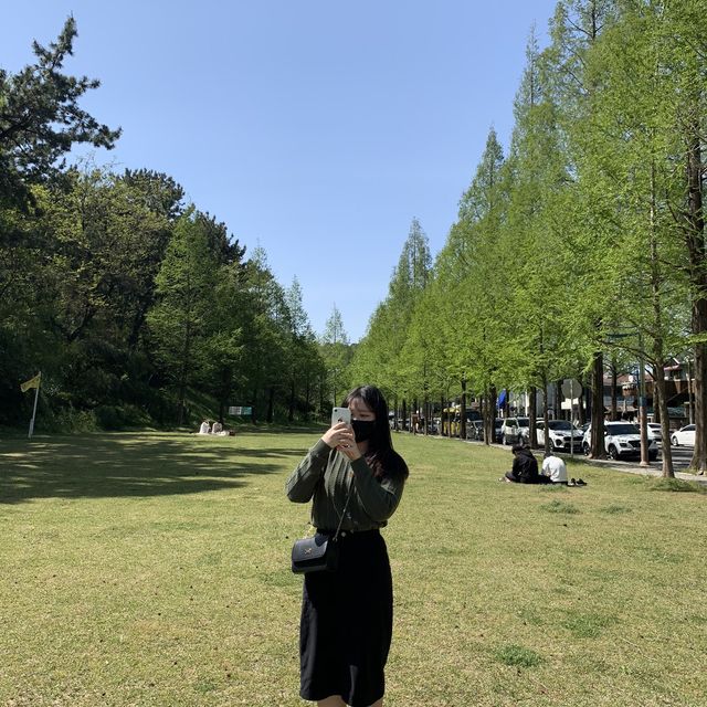 초록빛 창원