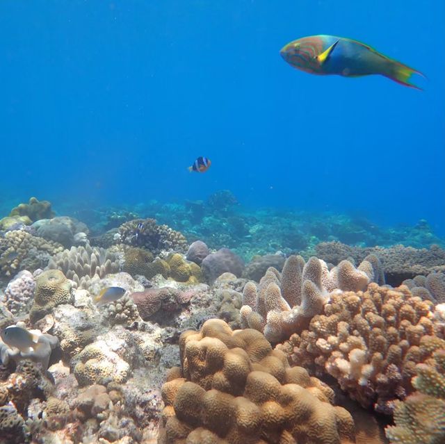 沖縄本島からすぐ行ける水納島
