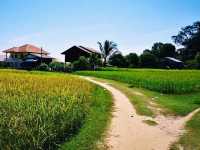 Relax and unwind in the tranquil island