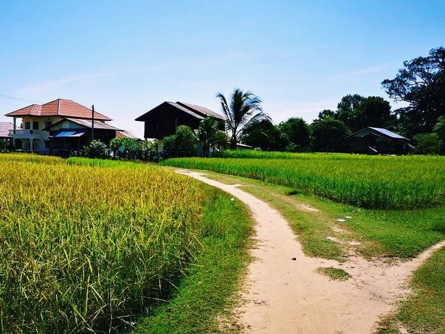 Relax and unwind in the tranquil island