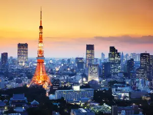 Top 20 Night Attractions in Tokyo