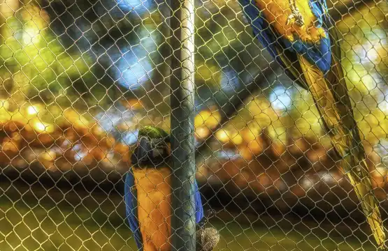 Hotels near Hangzhou Zoo