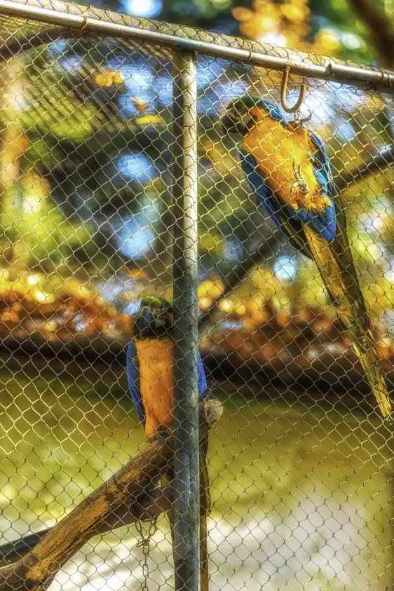 Hotels near Hangzhou Zoo