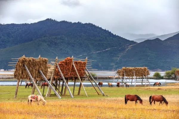 Vé máy bay Diqing Đảo Phú Quốc