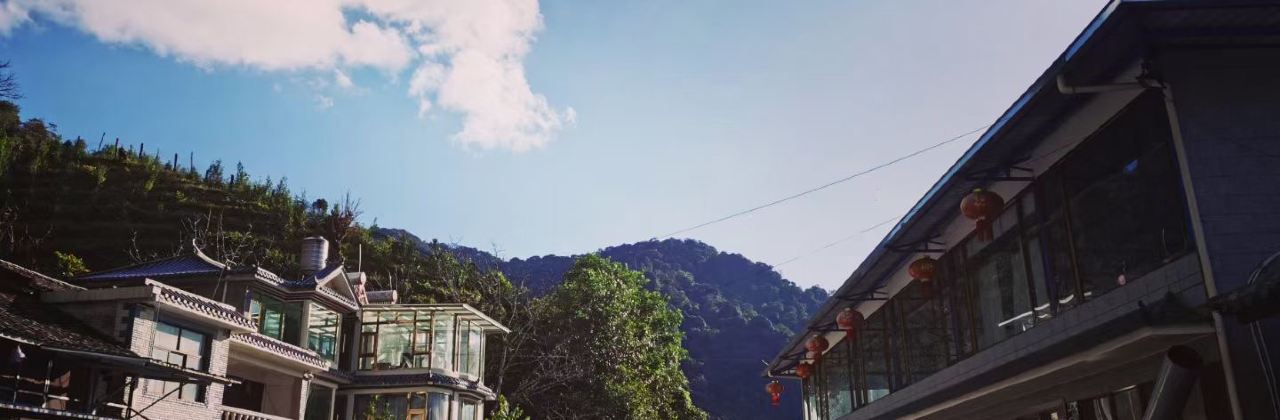 无量山火腿木瓜鸡