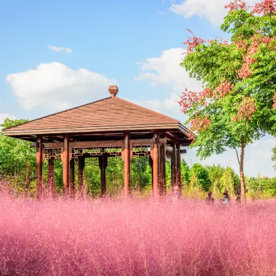 Отзывы об отеле Homeinn Pebble (Hohhot Chuangye Road International Mongolian Hospital)