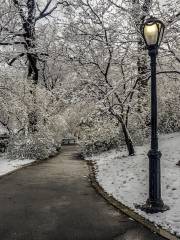 Longshan Park (South Gate)